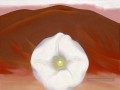collines rouges et fleur blanche Géorgie Okeeffe modernisme américain Precisionism